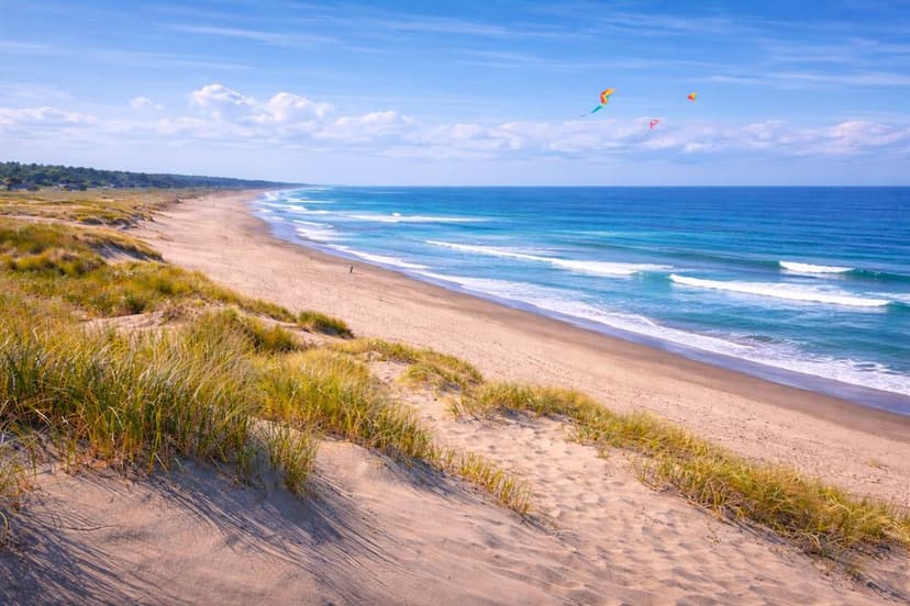 Kid-Friendly Activities in Grayland & Westport WA